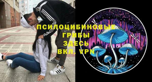 кокс Богородицк