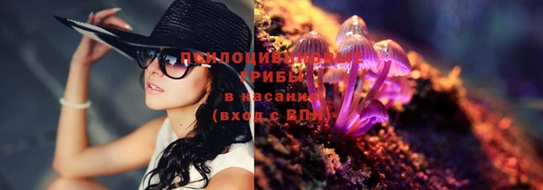 кокс Богородицк