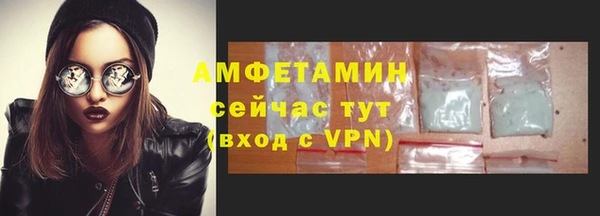 дурь Бородино
