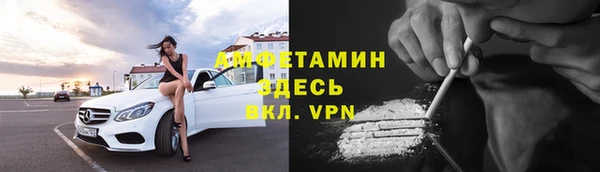 дурь Бородино