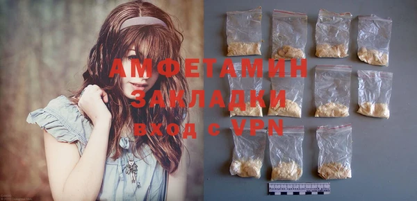 дурь Бородино